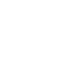 Discord icon